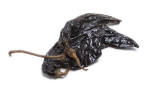 Chile Seco Pasilla